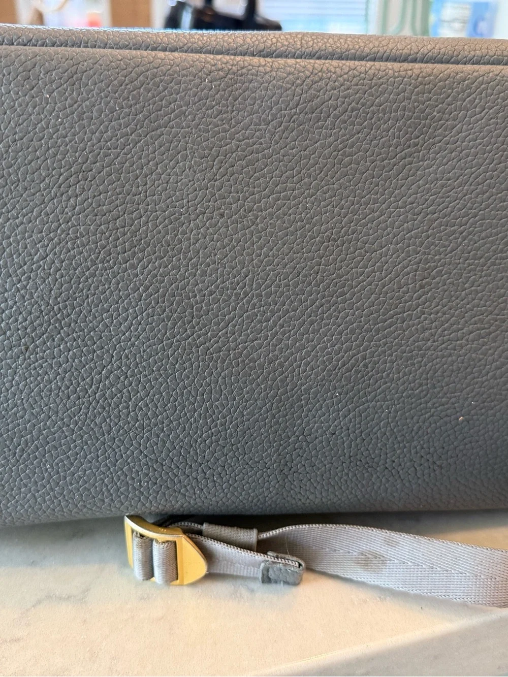 Freshly Picked gray interior
